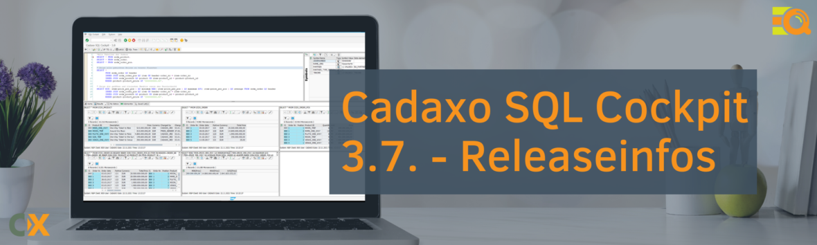 SQL Cockpit_Releaseinfos