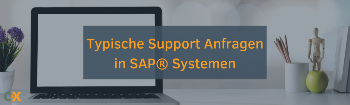 Typische Support Anfragen in SAP Systemen